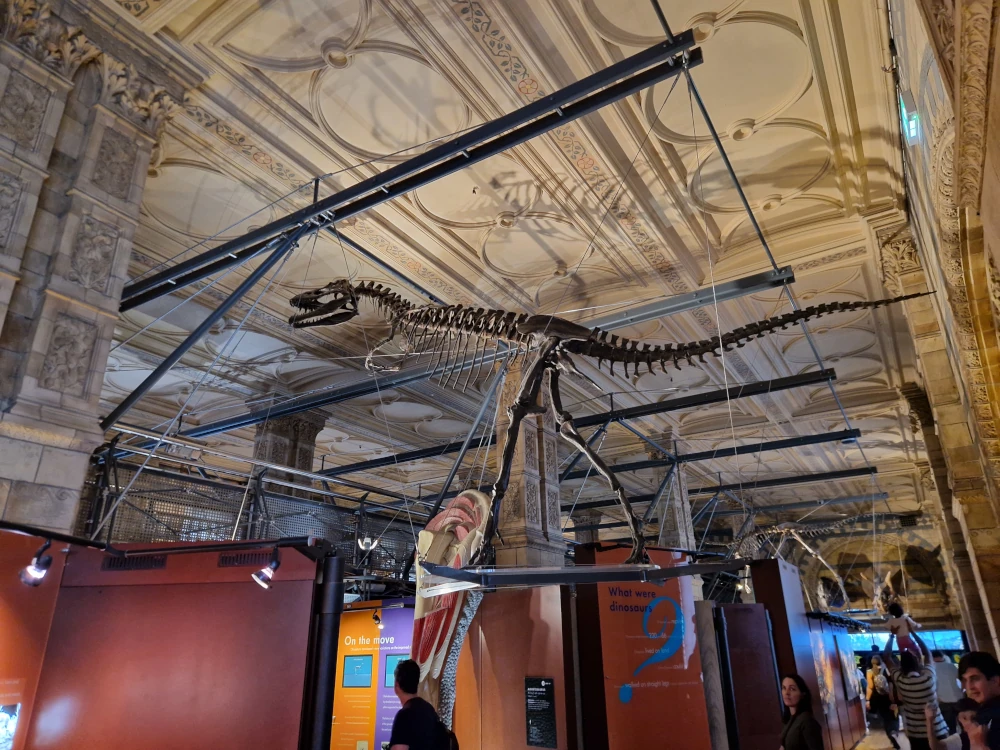 Natural History Museum London Raptor Fossil