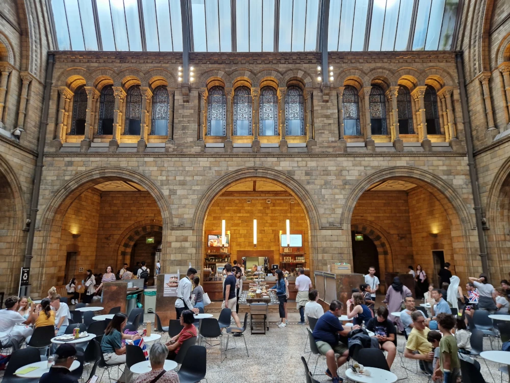 Natural History Museum London cafe