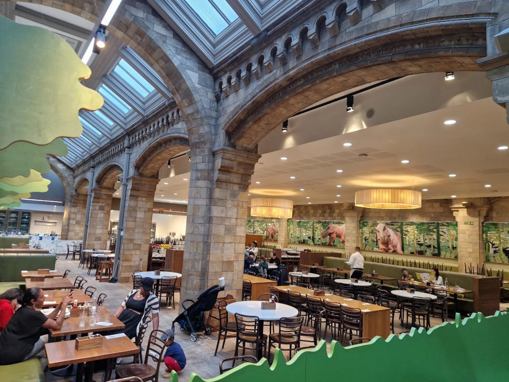 Natural History Museum London T-Rex Cafe