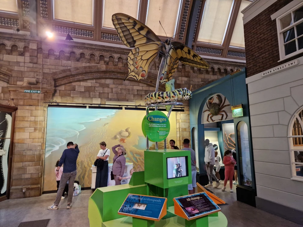 Natural History Museum London Butterflies