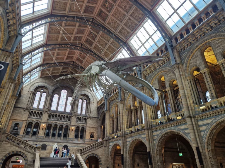 Natural History Museum London
