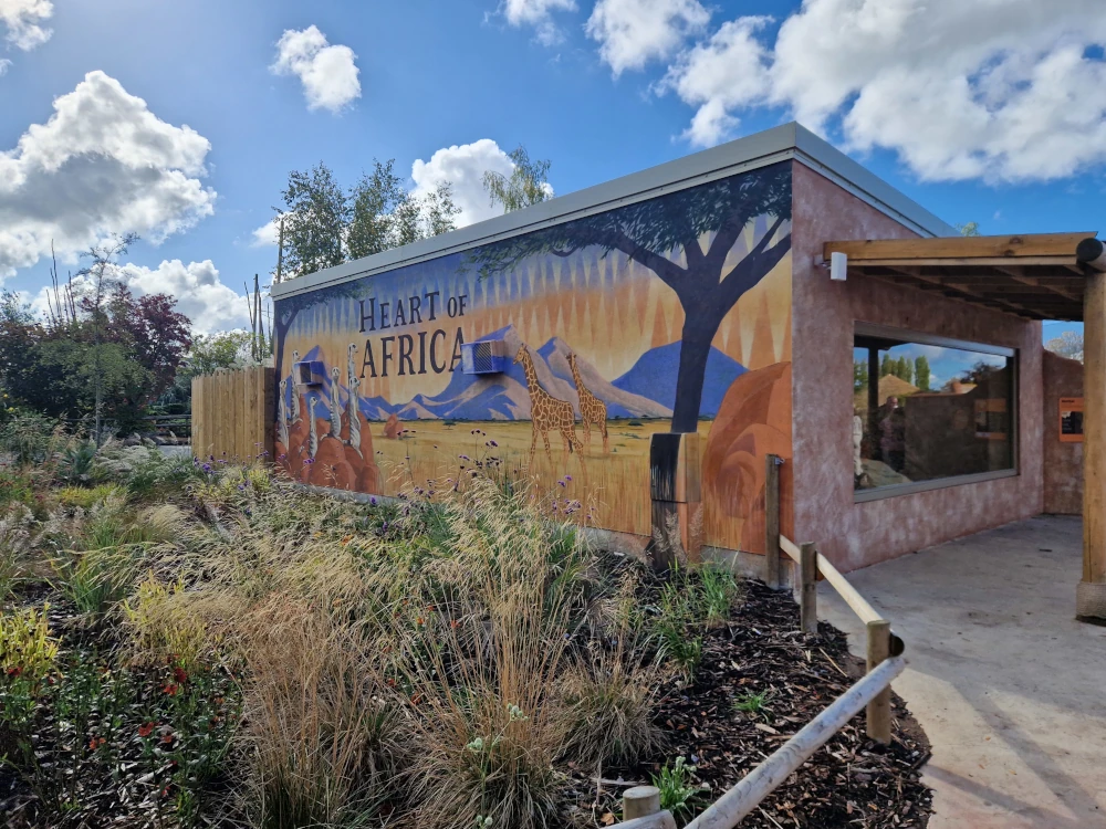 Chester Zoo Heart of Africa Painting