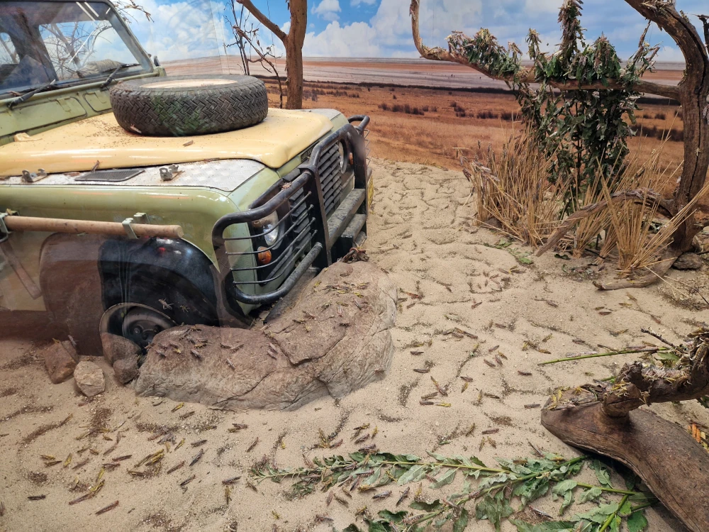 Chester Zoo Hidden Savannah Locusts