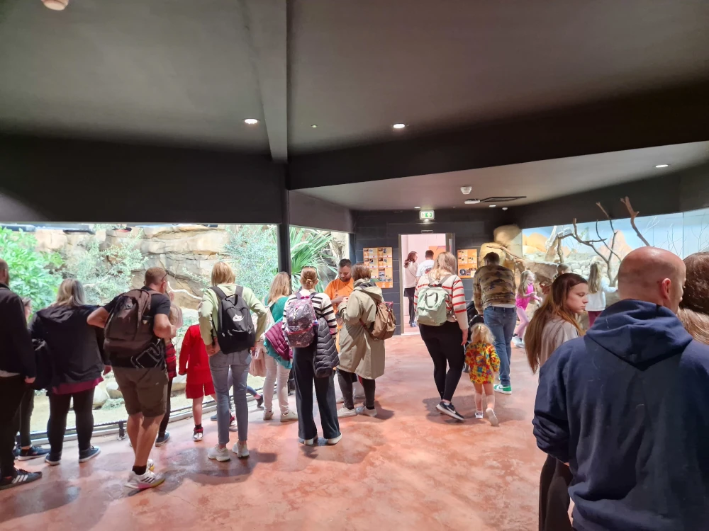 Chester Zoo Hidden Savannah