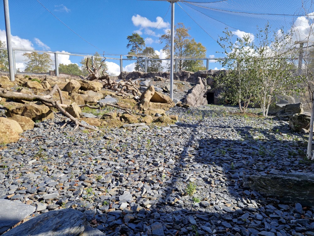 Chester Zoo Snow Leopard Enclosure
