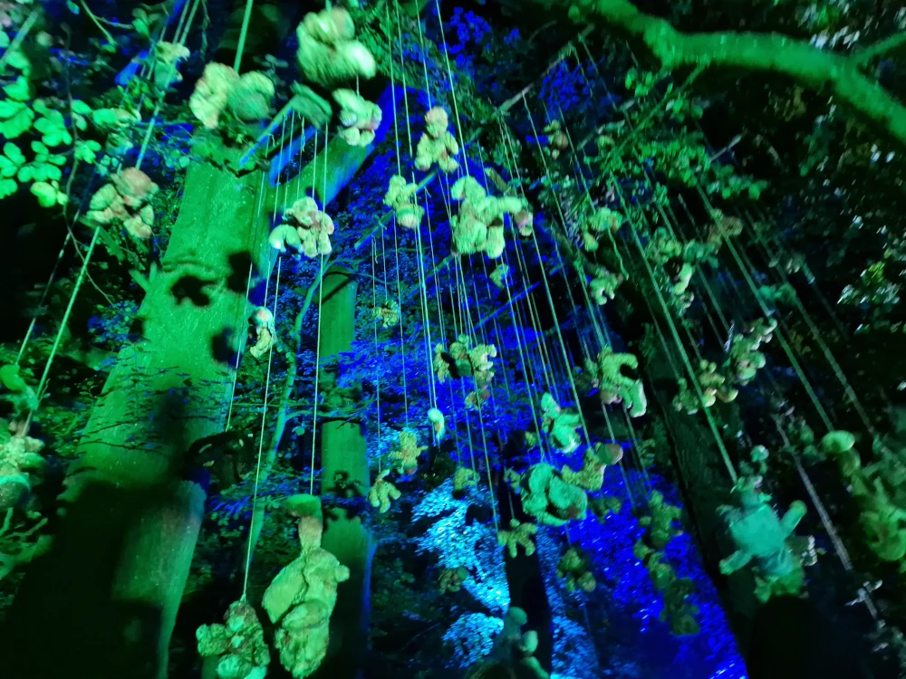 Alton Towers Scarefest Dark Hollow Decoration