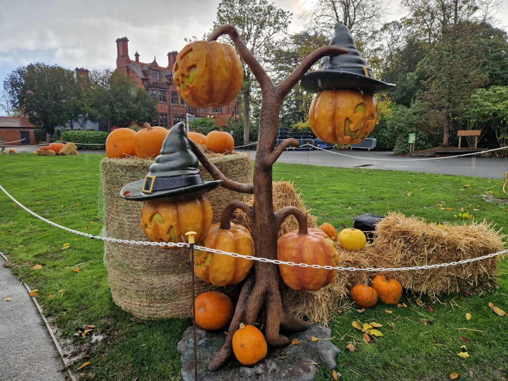 Chester Zoo Halloween Pumpkin Witch Display