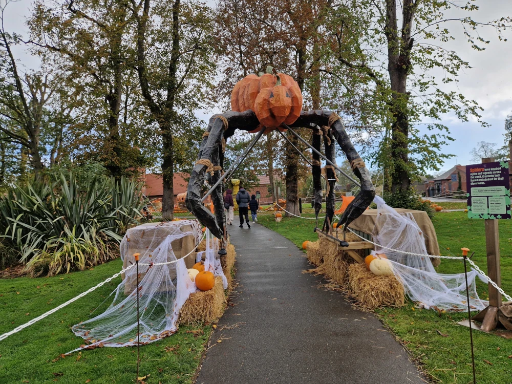 Chester Zoo Halloween Pumpkin Spider Display