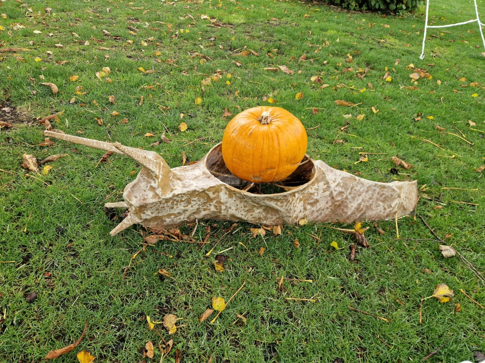 Chester Zoo Halloween Pumpkin Snail Display