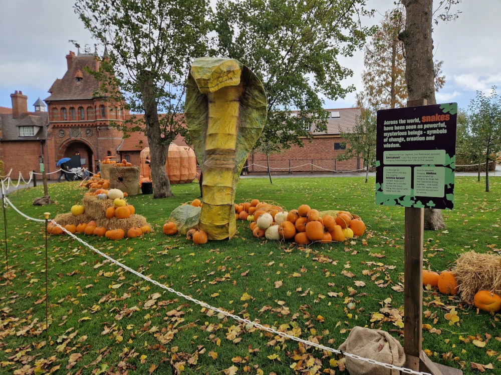 Chester Zoo Halloween Pumpkin Cobra Display