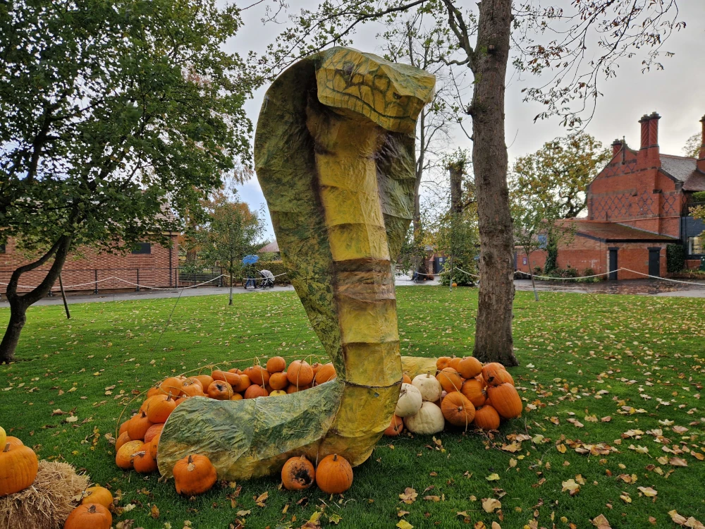 Chester Zoo Halloween Pumpkin Cobra Display