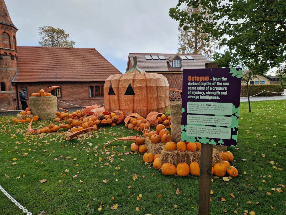 Chester Zoo Halloween Pumpkin Kraken Display