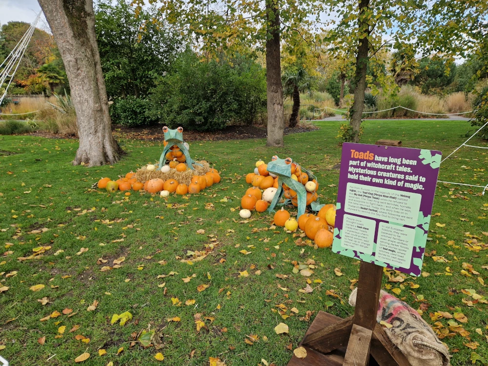 Chester Zoo Halloween Pumpkin Toad Display