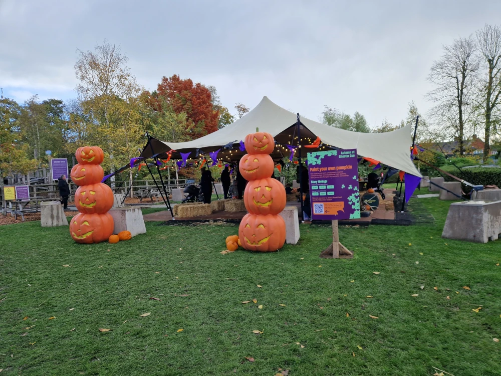 Chester Zoo Halloween Activities Tent