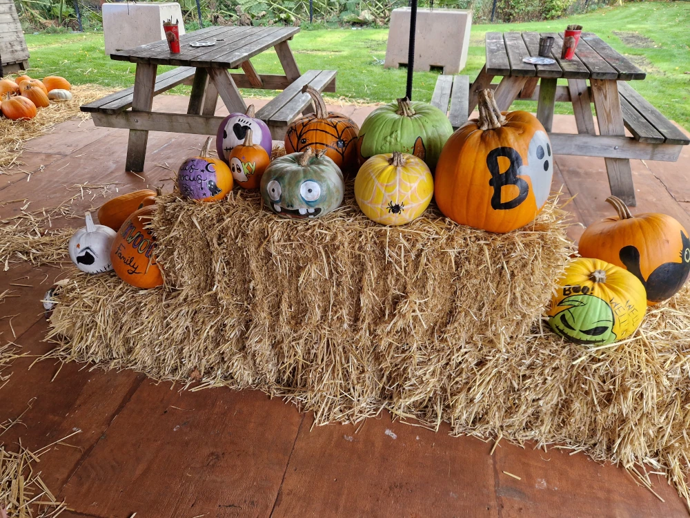 Chester Zoo Halloween Painted Pumpkin Display
