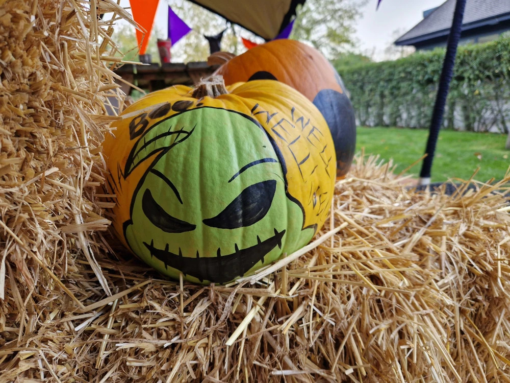 Chester Zoo Halloween Painted Pumpkin Oogie Boogie