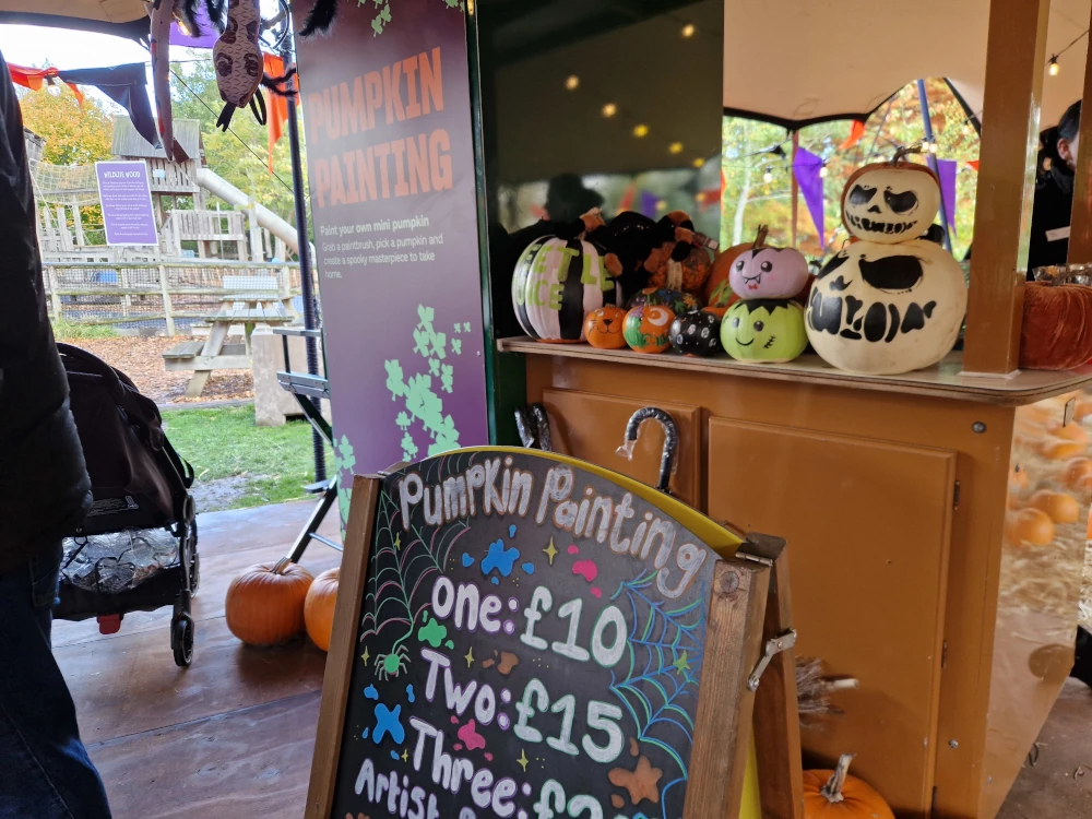 Chester Zoo Halloween Pumpkin Painting
