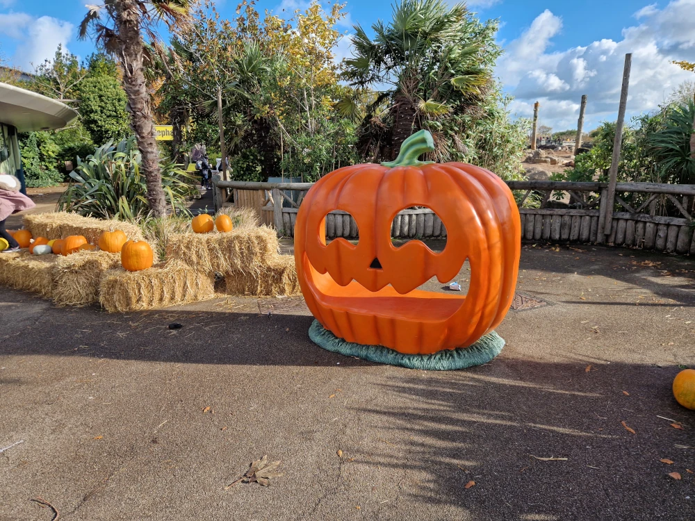 Chester Zoo Halloween Pumpkin Photo Op