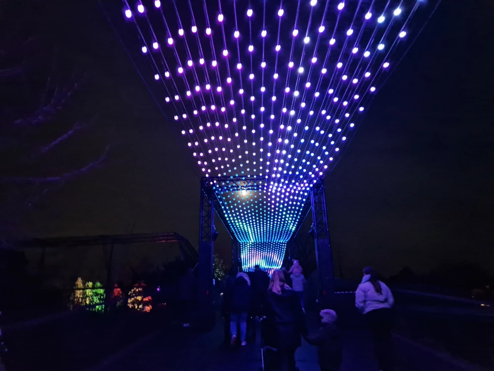 Chester Zoo Lanterns and Light Bridge Light Canopy