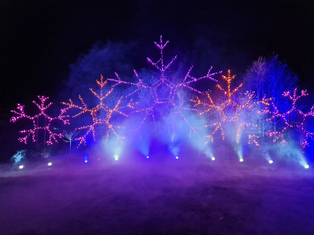 Chester Zoo Lanterns and Light Snowflakes