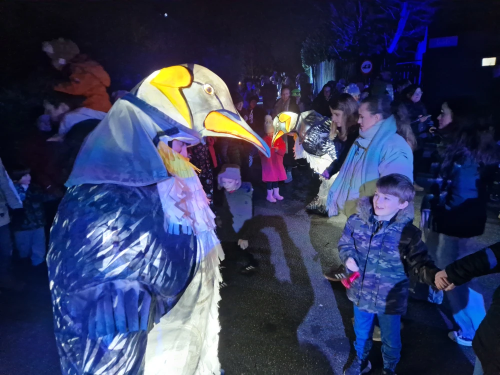 Chester Zoo Lanterns and Light Penguin Costume