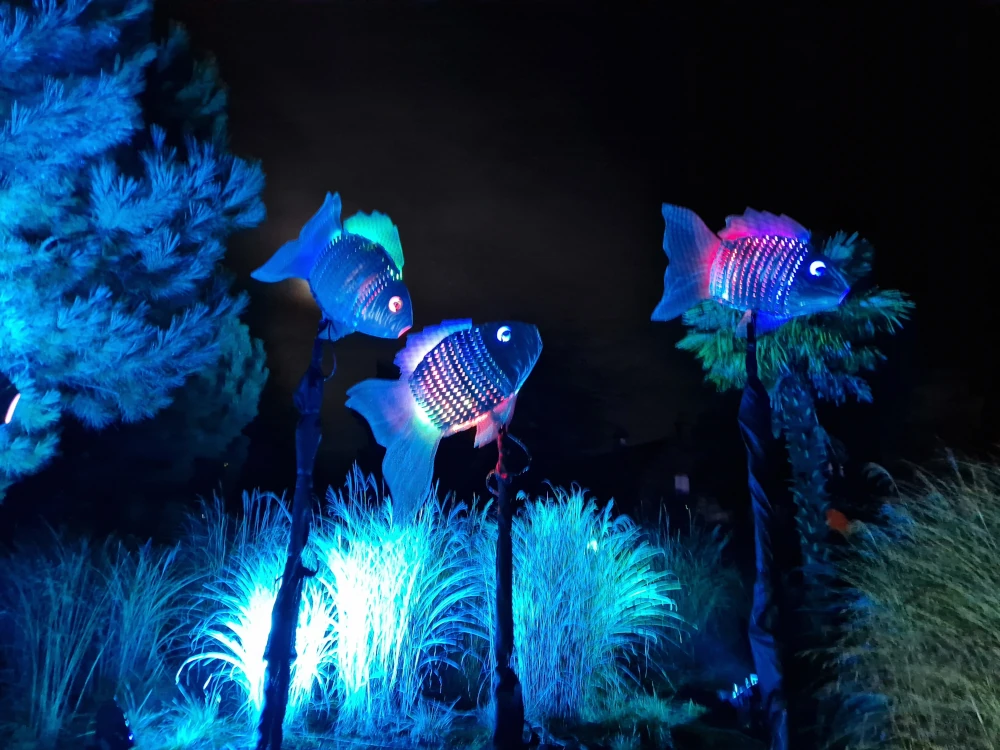 Chester Zoo Lanterns and Light Fish Lanterns