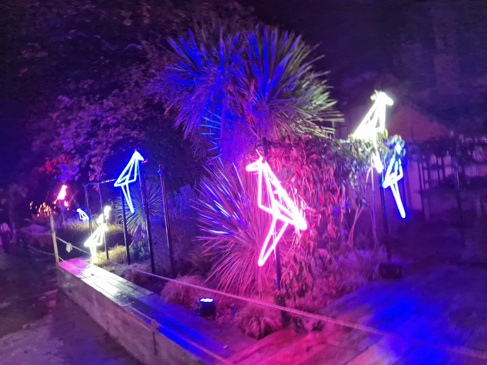 Chester Zoo Lanterns and Light Neon Parrots