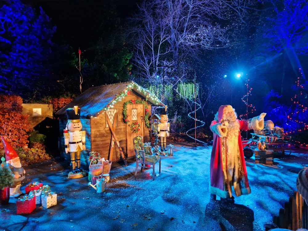 Chester Zoo Lanterns and Light Santa