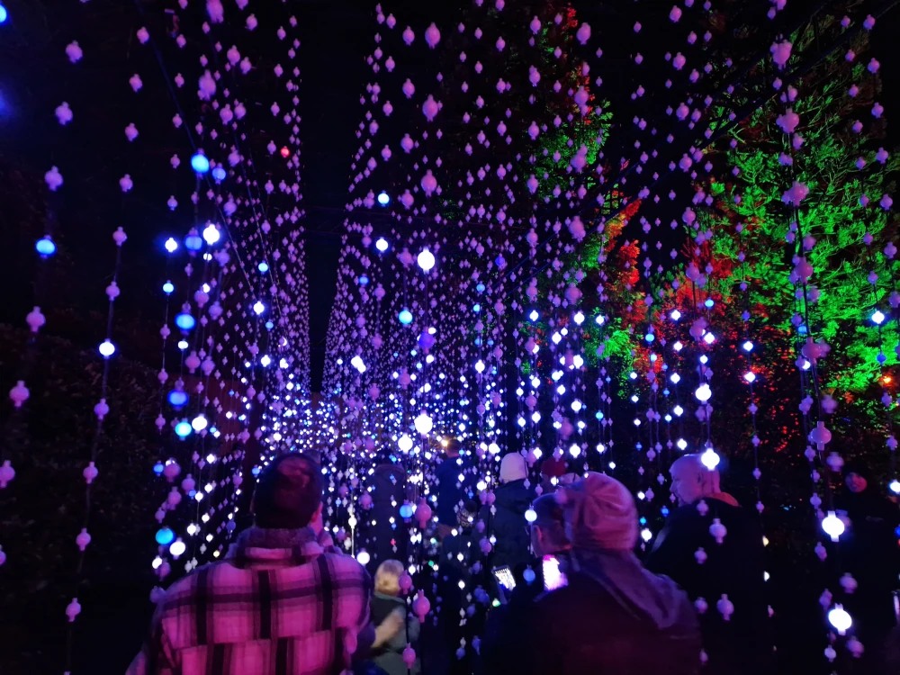 Chester Zoo Lanterns and Swinging Light Tunnel