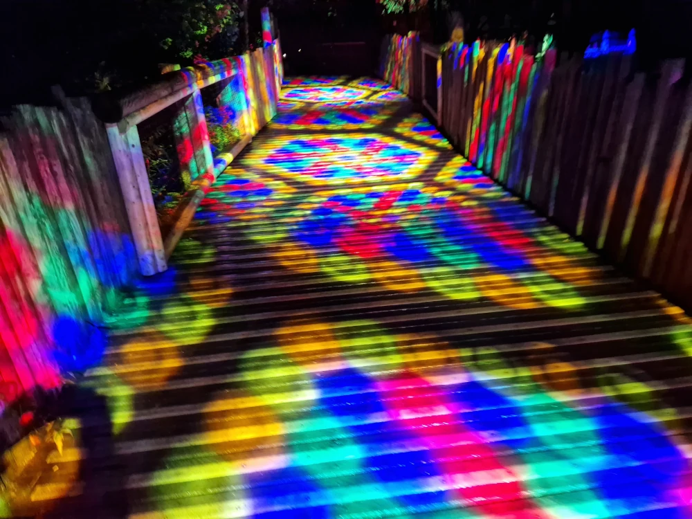 Chester Zoo Lanterns and Light Disco Lights on Bridge