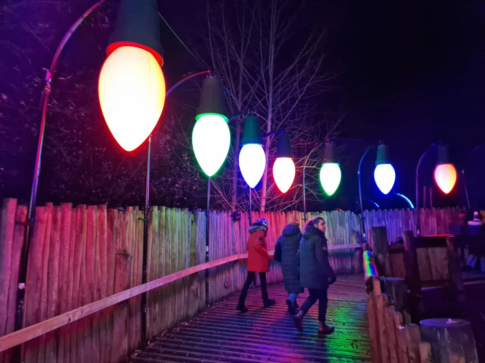 Chester Zoo Lanterns and Light Large Fairly Lights