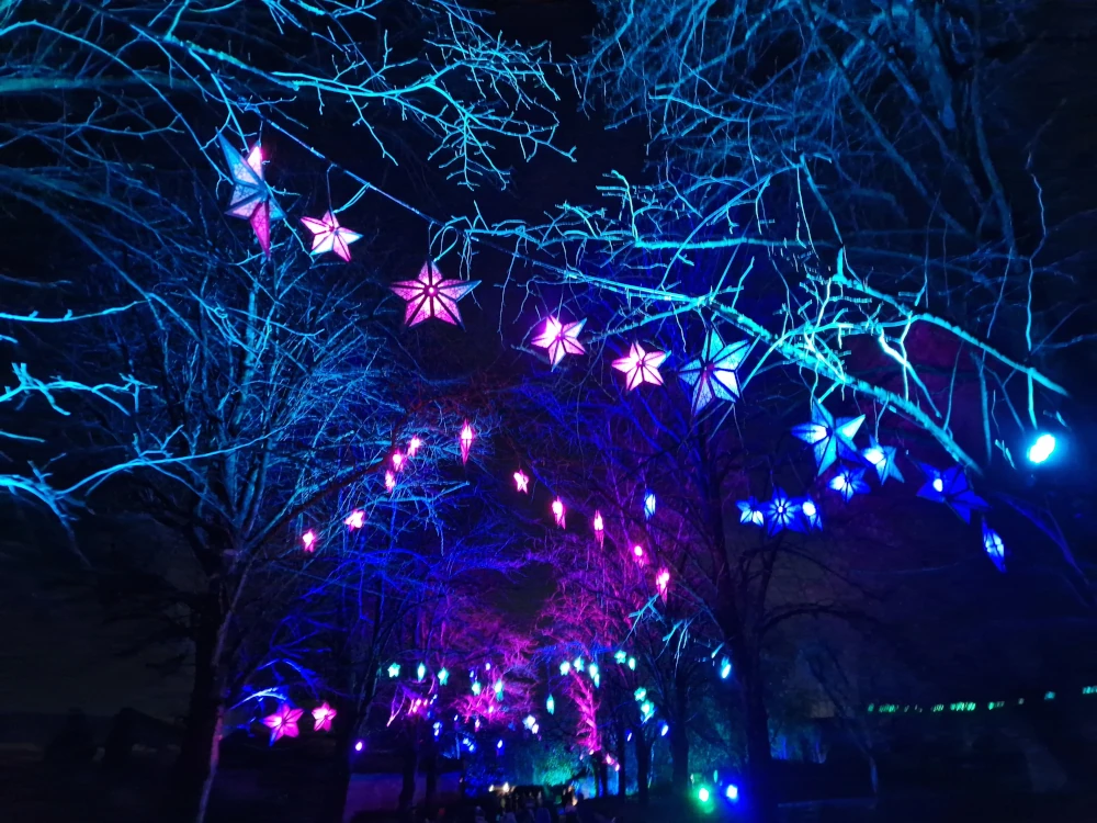 Chester Zoo Lanterns and Light Star Lanterns
