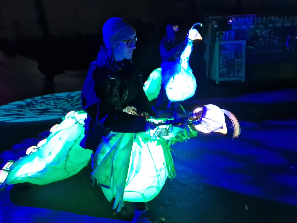Chester Zoo Lanterns and Light Peacock Puppeteer
