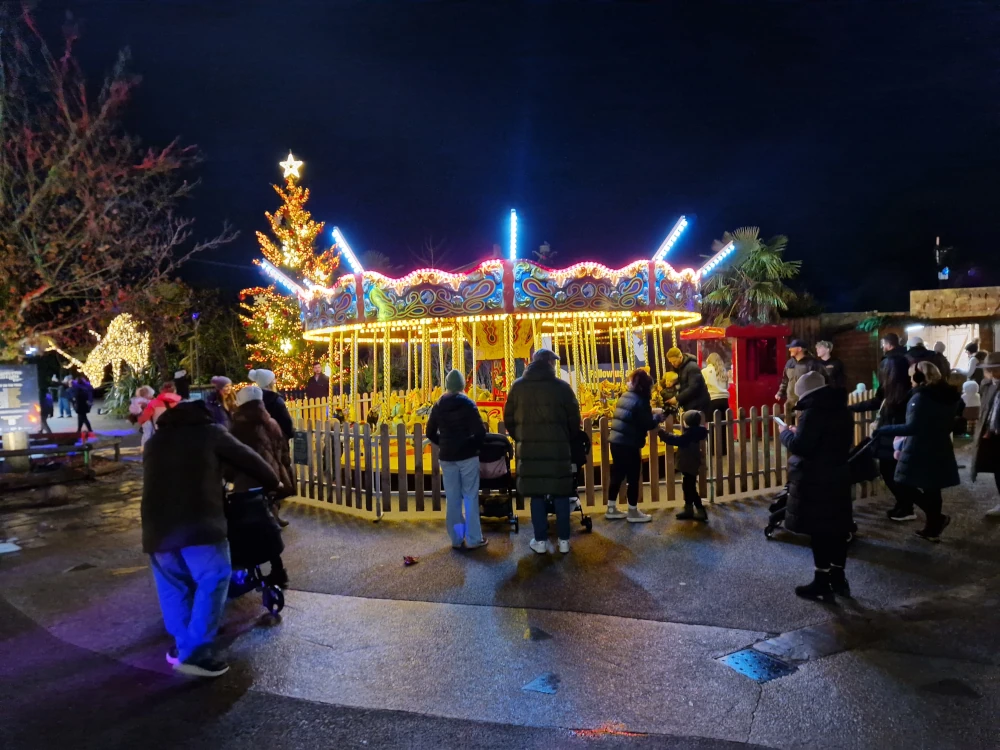 Chester Zoo Lanterns and Light Carousel