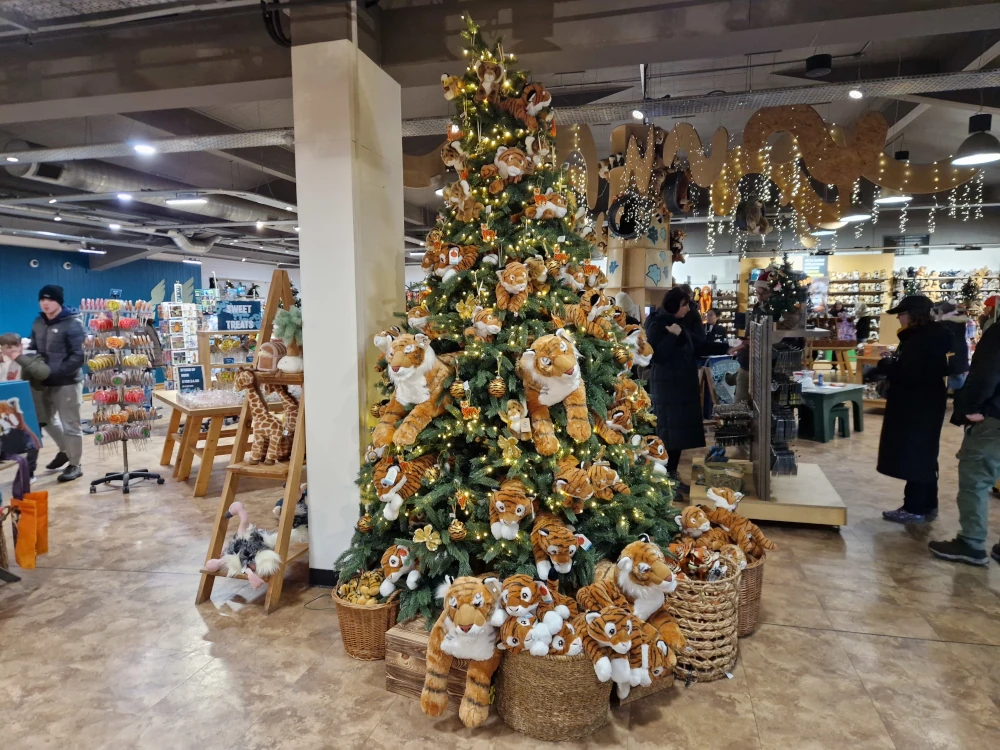 Chester Zoo Lanterns and Light Shop