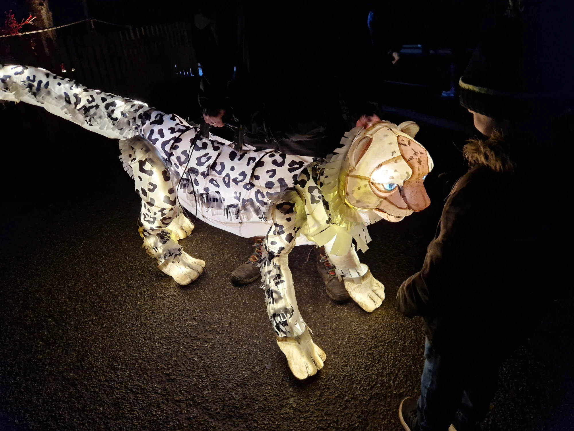 Chester Zoo Lanterns and Light