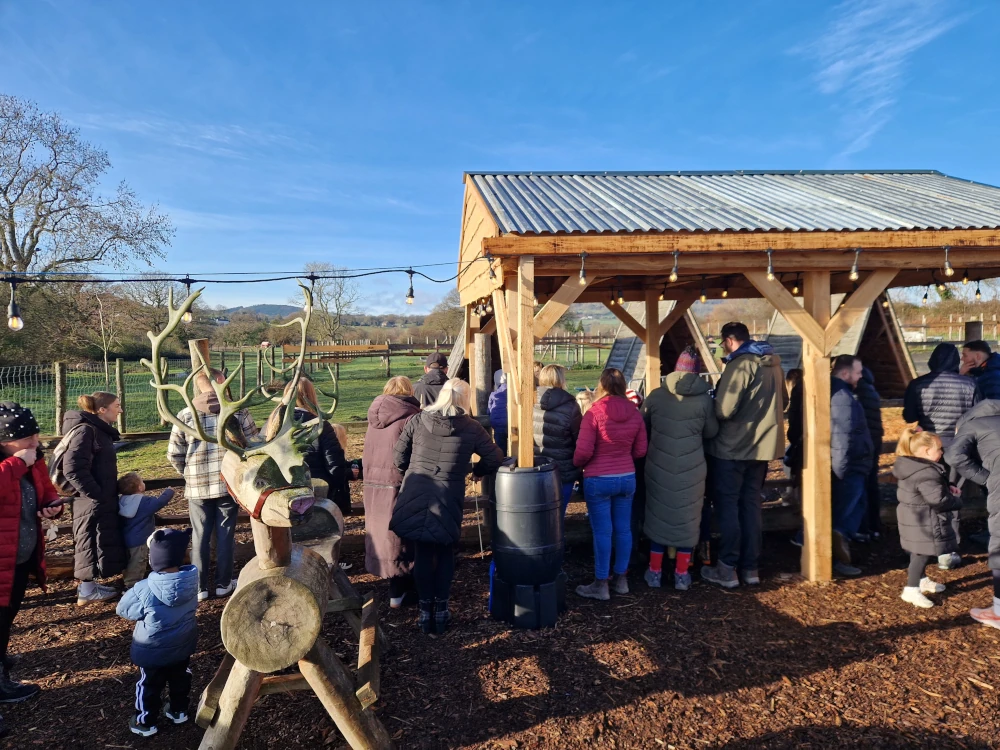 Christmas Farm Wrexham Reindeer Feeding
