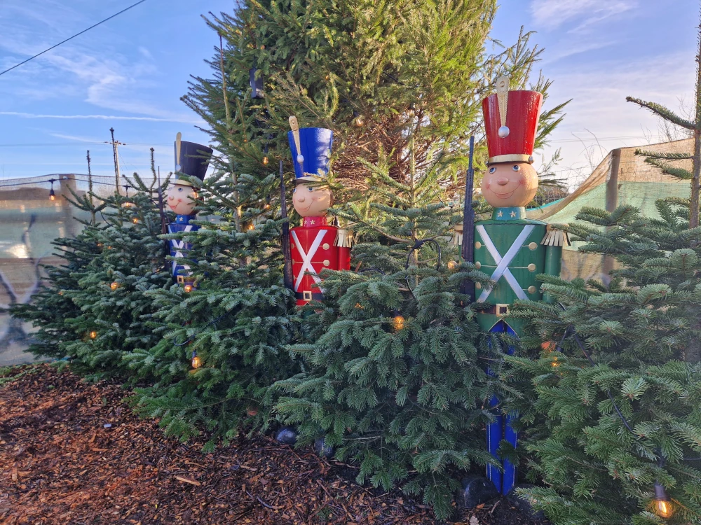 Christmas Farm Wrexham Soldiers