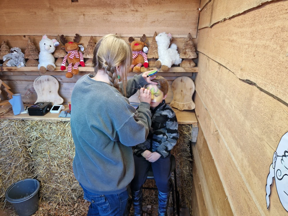 Christmas Farm Wrexham Face Painting