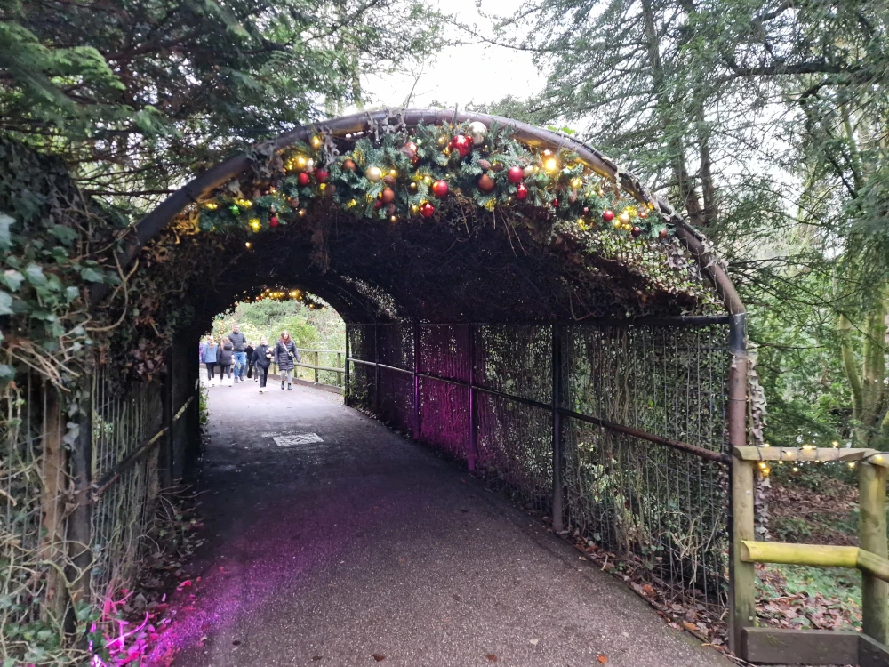 Alton Towers Christmas decorated pathways