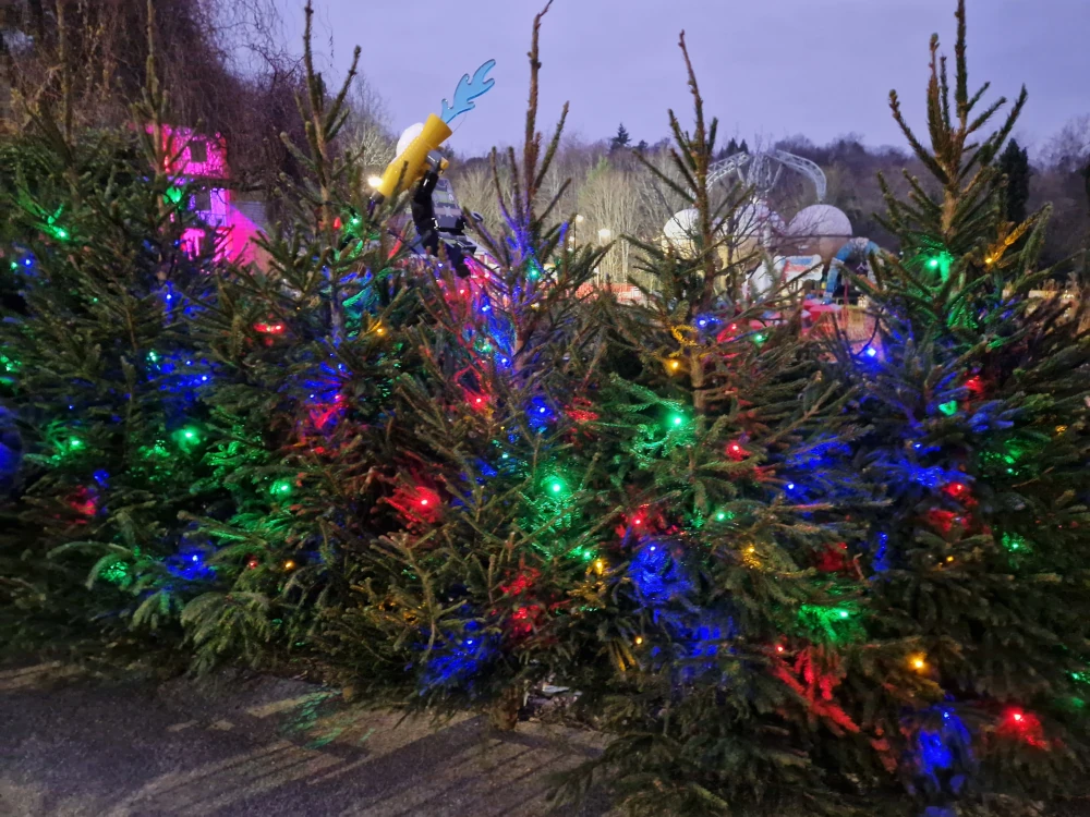 Legoland Windsor Christmas trees