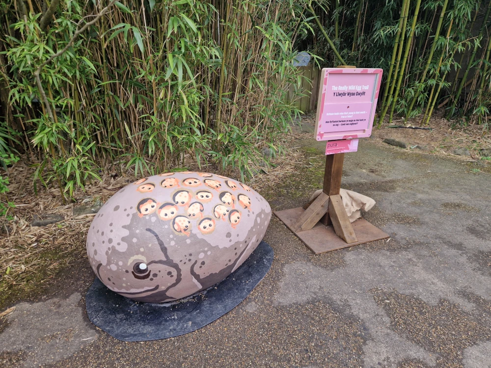 Chester Zoo Easter Frog Egg
