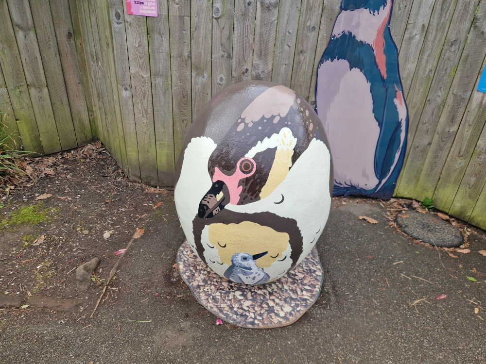 Chester Zoo Easter Penguin Egg