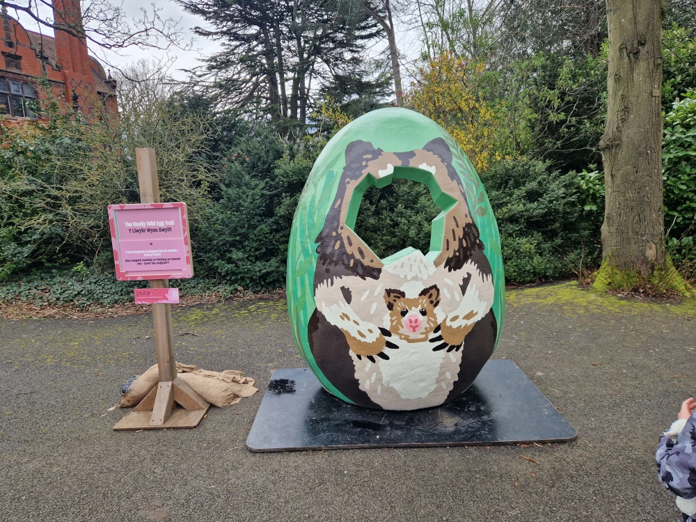 Chester Zoo Easter Kangaroo Egg