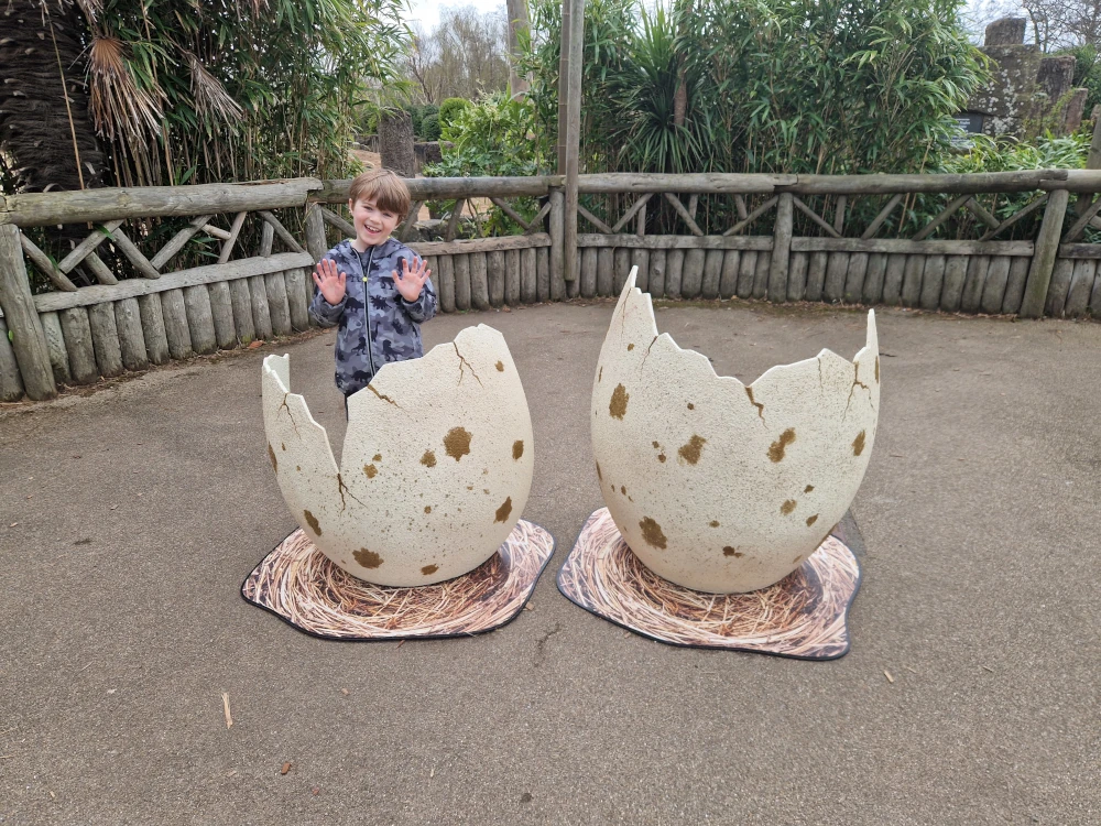 Chester Zoo Easter Egg Photos