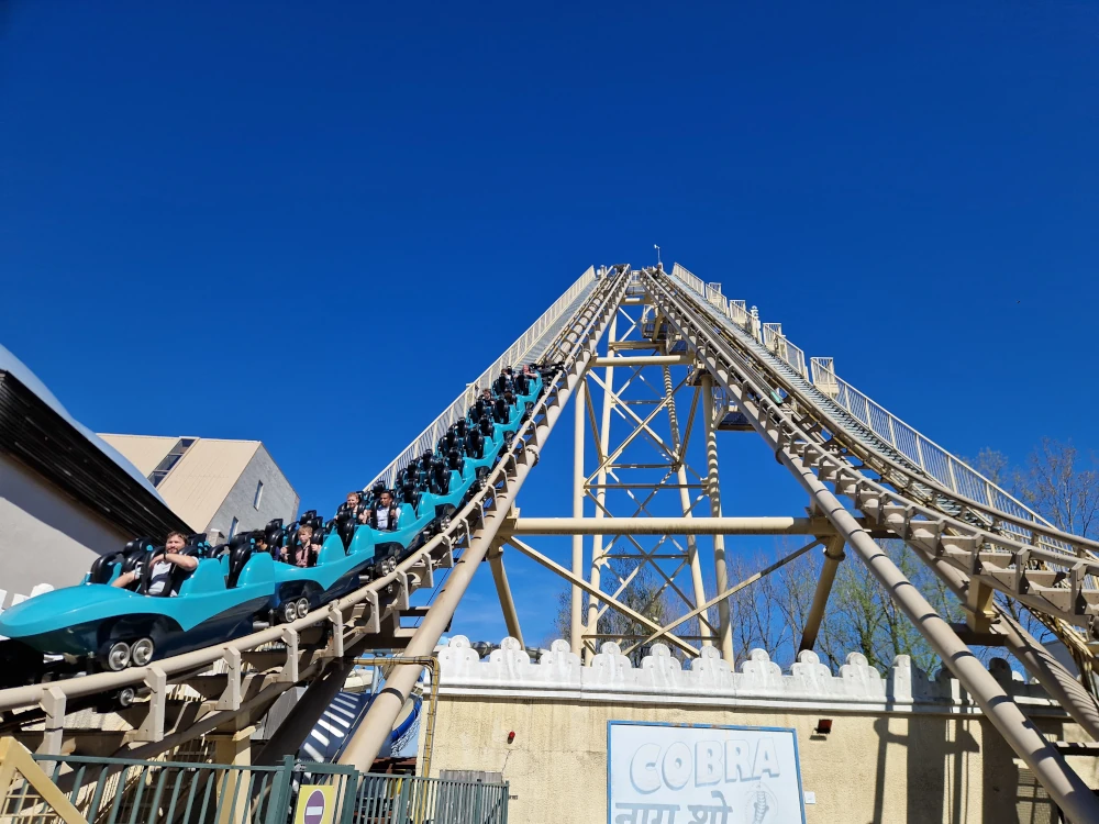 Walibi Belgium Cobra